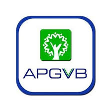 ANDHRA PRADESH GRAMEENA VIKAS BANK KOTHAKOTA WANAPARTHY IFSC Code Is APGV0007140