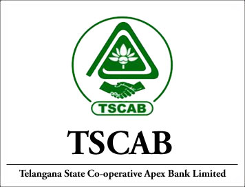Telangana State Coop Apex Bank The Adilabad District Co Operative Central Bank Ltd Kallur Contact Number Is 91 0 0 Address Micr Code Ifsc Code And Other Bank Details
